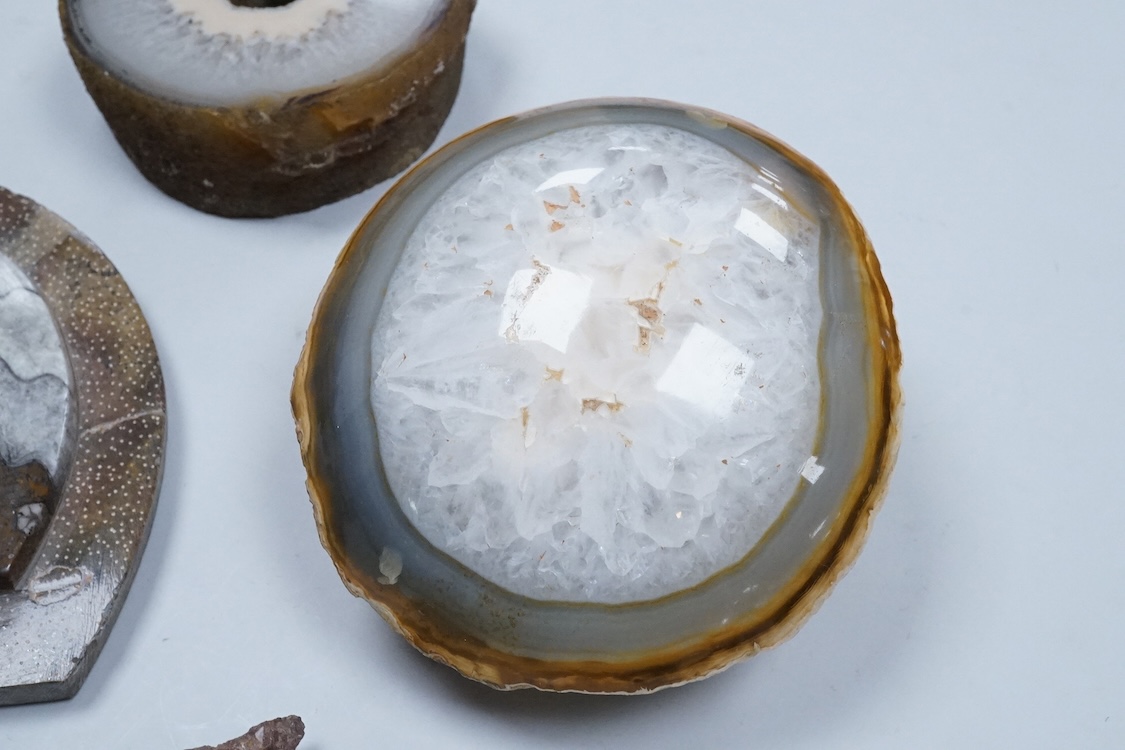 Natural history interest, comprising four ammonites, a fossil and two gemstones